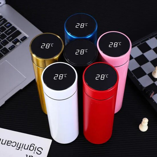 Temperature Bottle ( Random Colour )